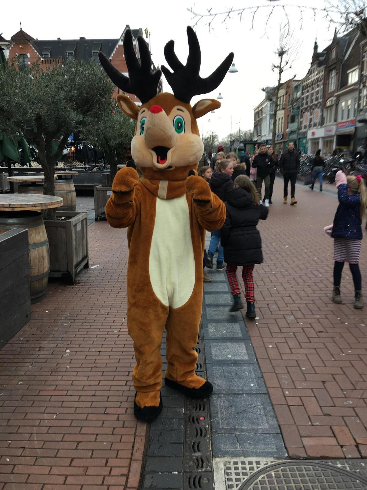 Kerst Rendier looppop www.funenpartymatch.nl