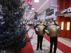 Levende Kerstballen huren © www.funenpartymatch.nl